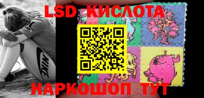 гидропоника Бийск