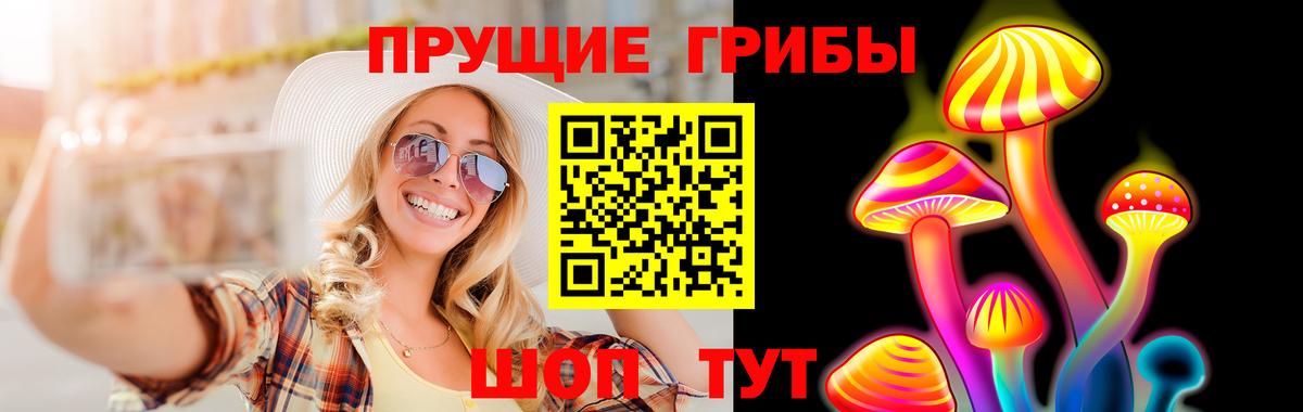 Псилоцибиновые грибы GOLDEN TEACHER  Вход с VPN  Качканар  Псилоцибиновые грибы Cubensis 